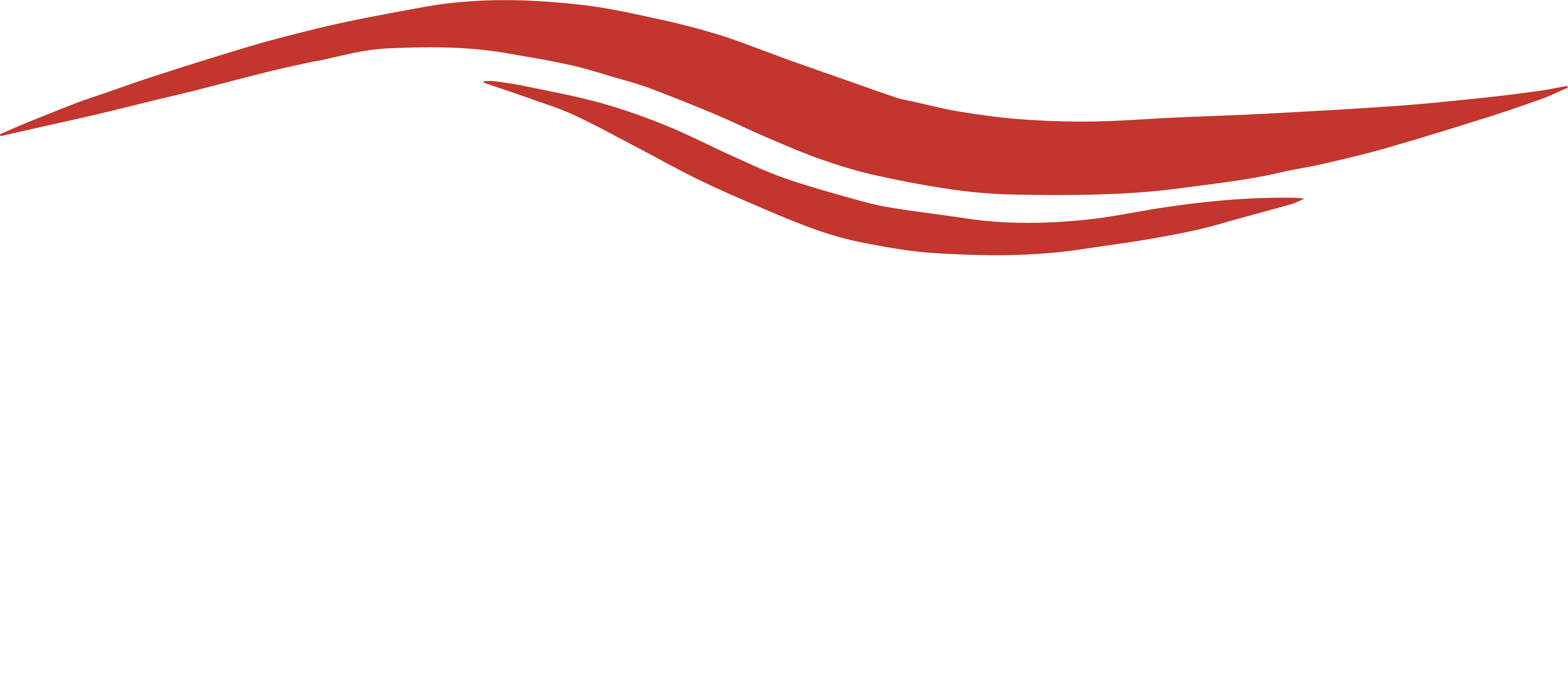 wivana logo